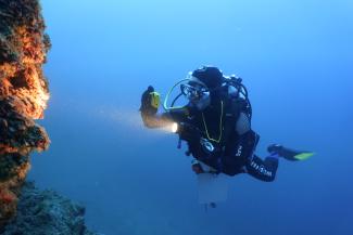 Documentation of a steep wall in Coratia by scientific divers